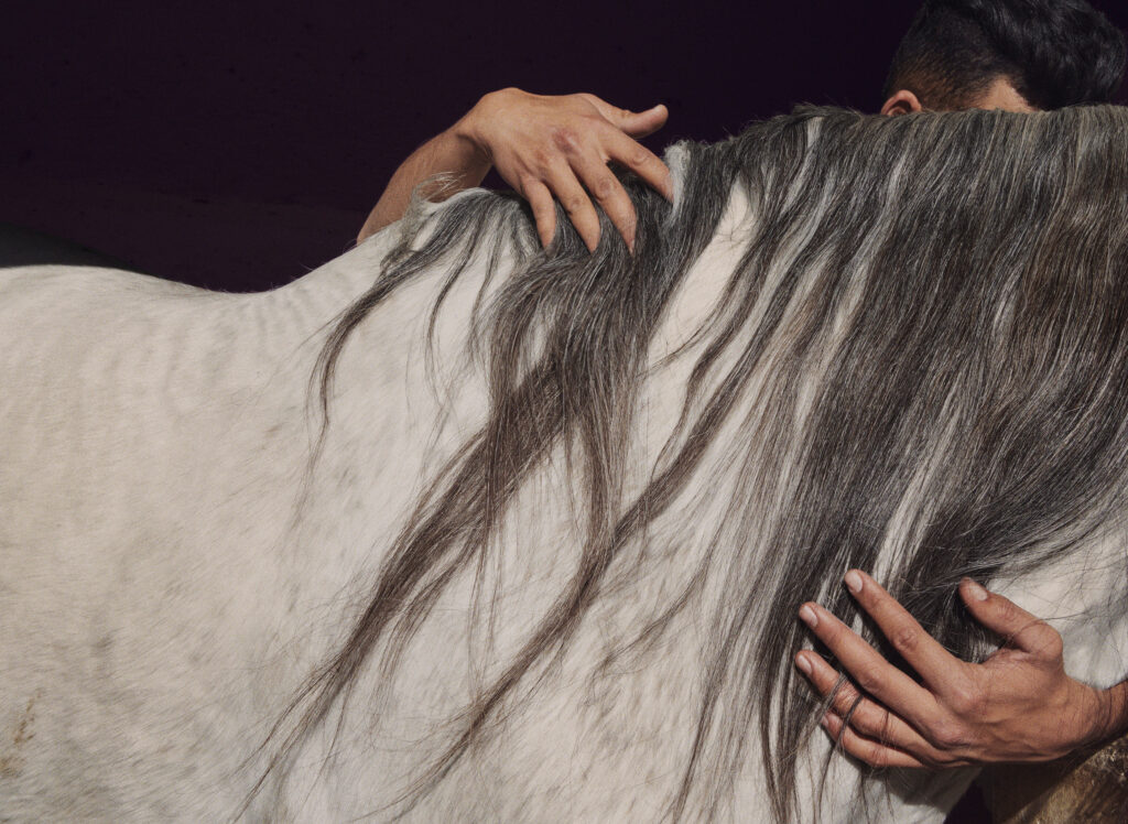© Sophie Ebrard - THEY ARE NOT AFRAID OF RIDING STALLIONS 18