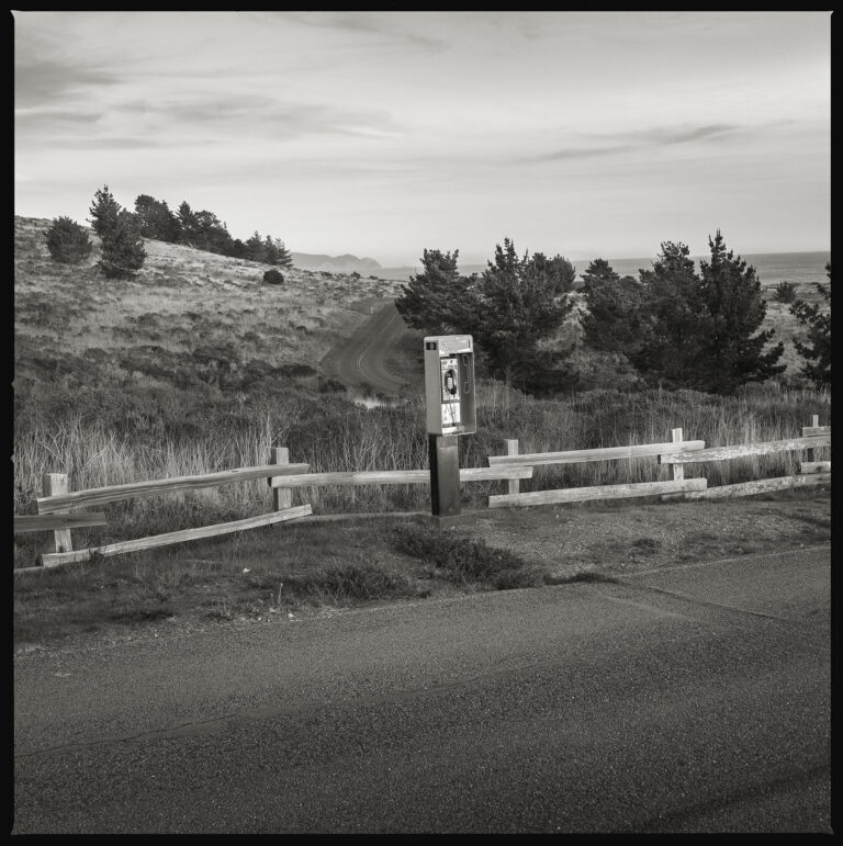 Unknown Number, Point Reyes National Seashore, CA. © Eric Kunsman